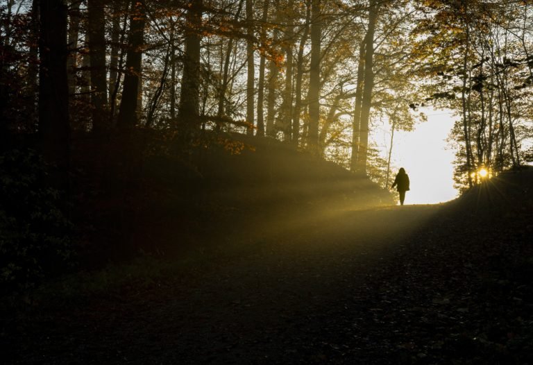 Path Of Light Journey, Μονοπάτι μέσα στη φύση που φωτίζεται από τον ήλιο, συμβολίζοντας την προσωπική διαδρομή αυτογνωσίας